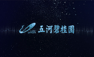 五河碧桂園建筑宣傳動(dòng)畫制作